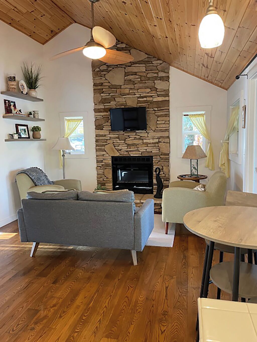 TV, fireplace, books