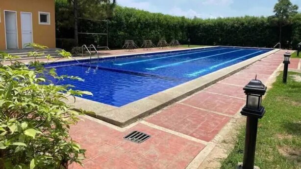 Une piscine rectangulaire à l’eau d’un bleu limpide, entourée d’une allée pavée et bordée d’une haie.