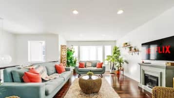 Smart TV, fireplace, books