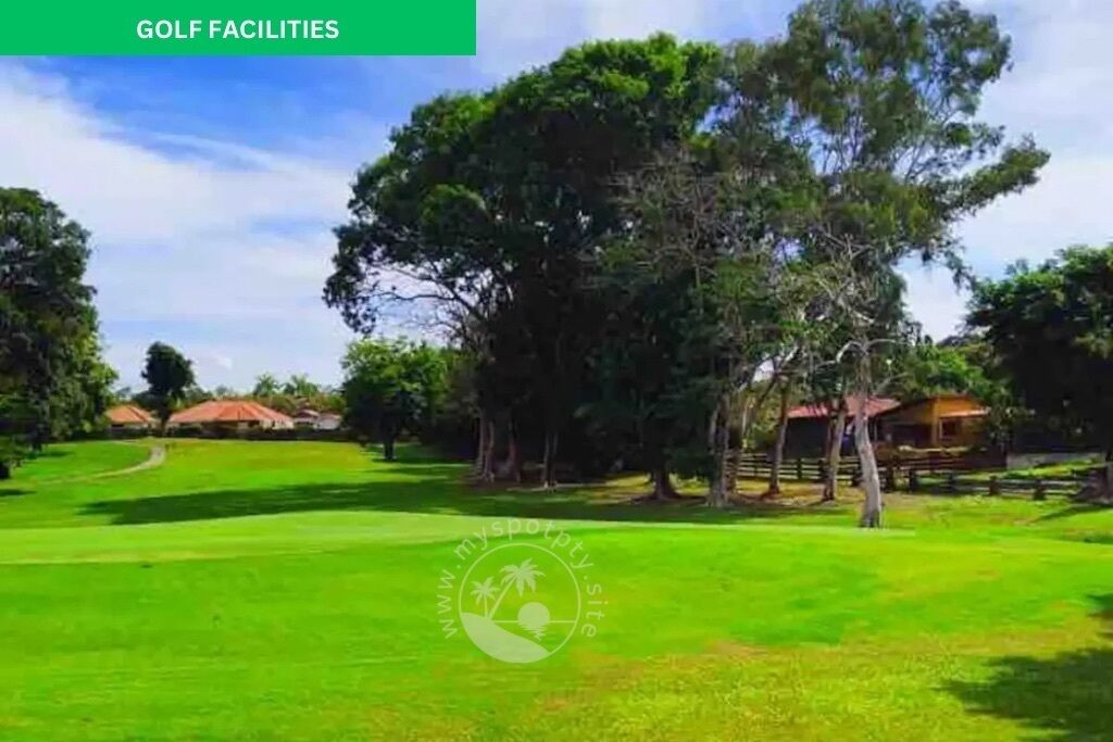 A golf course with a well-maintained green, trees, and a clear sky.