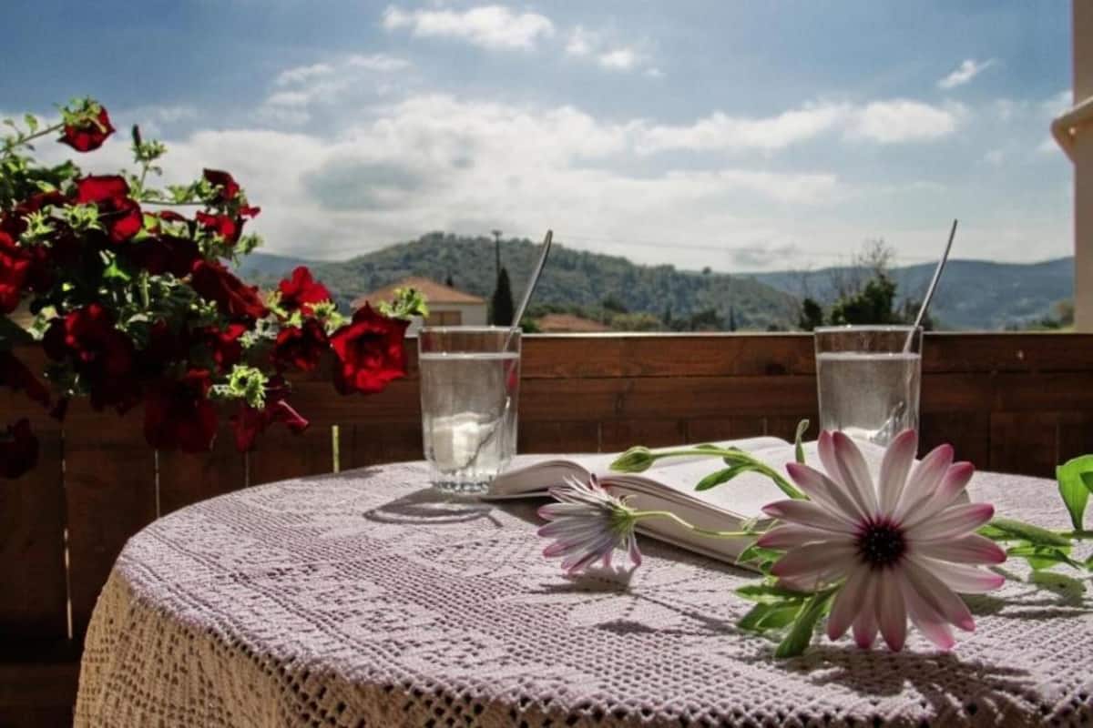 6 camere