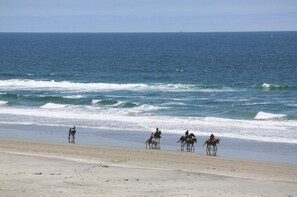 Playa