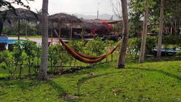 Hammock (1)