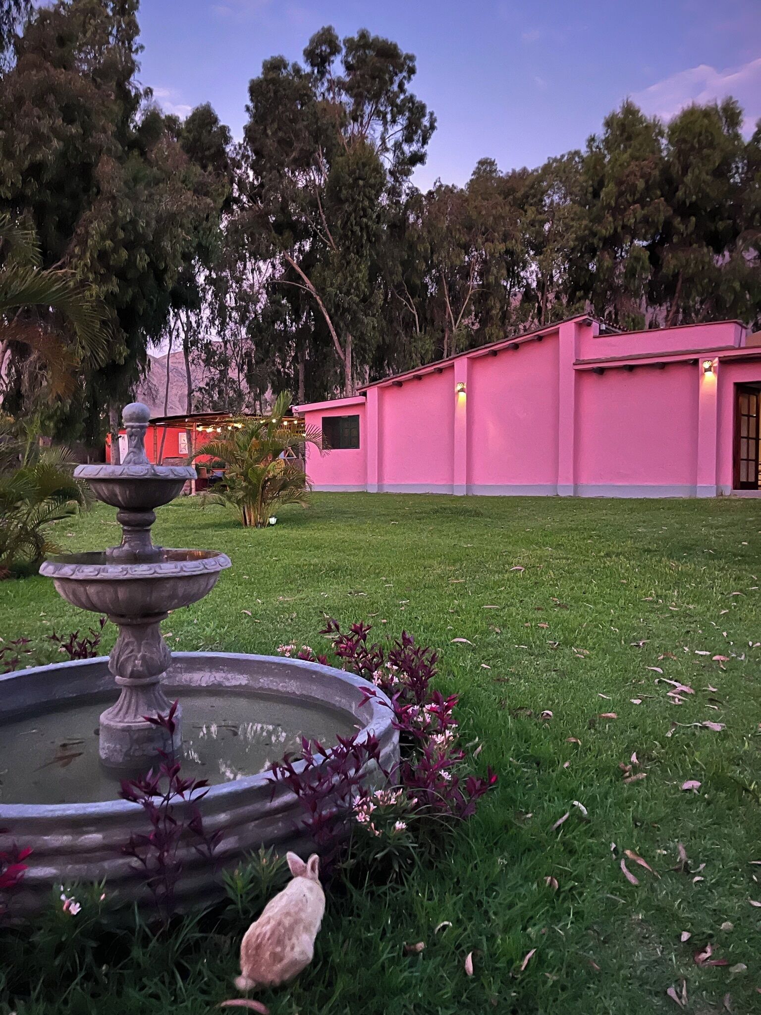 Terrein van de accommodatie