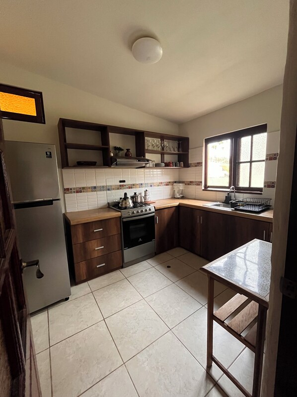 Kitchen with garden view (2)