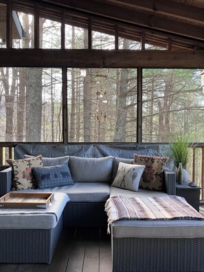 Smart TV, fireplace, DVD player, books