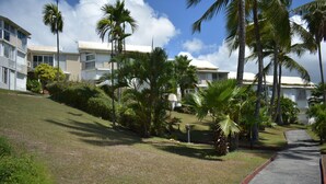 A residential area with a paved road, palm trees, and a building with a white facade and balconies. - Résidence de la vieille tour  (Le Gosier)