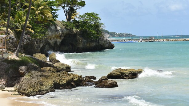 A beach with clear turquoise water, rocky shore, and lush greenery. - Résidence de la vieille tour  (Le Gosier)