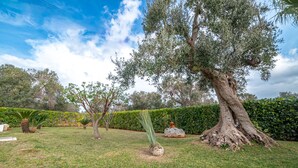 A well-maintained garden with a large tree, a small palm-like plant, and a rock formation.
