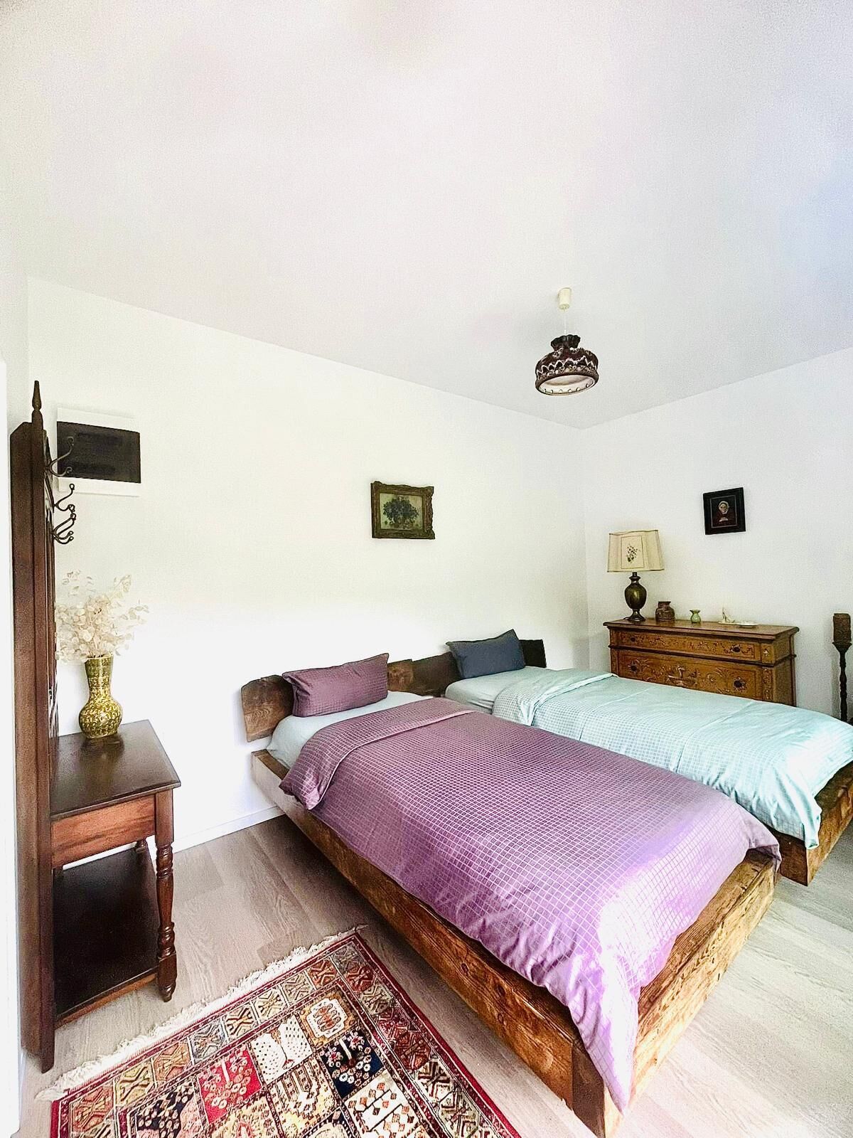 A bedroom with two beds, a wooden dresser, a small table with a vase, and a patterned rug.