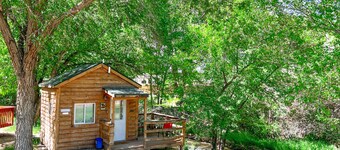 One room camping cabin Double bed on the main level and two lofted twin-size beds Heating and cooling Sleeps: 4 Pets: 2 Parking: 1