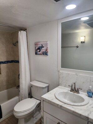 A bathroom with a shower, toilet, sink, and a large mirror. - Beach front conplex, Updated one bedroom one bath condo.  (South Padre Island)