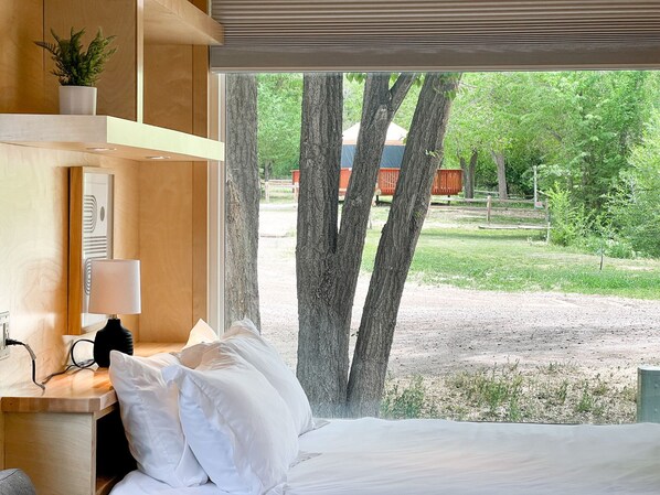 2 bedrooms - Tiny home with one lofted queen bed and full size futon. (Montrose)