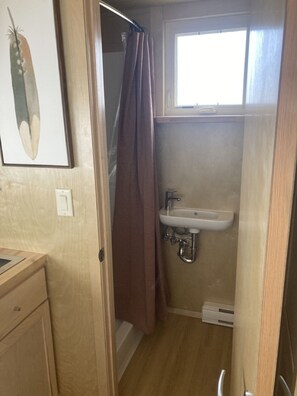 Shower - Tiny home with one queen bed. (Montrose)