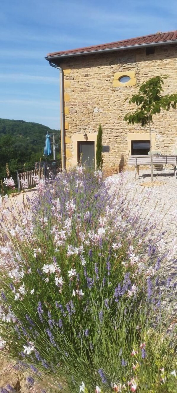 Property grounds - A Deux Pas des Vignes (SAINTE PAULE)