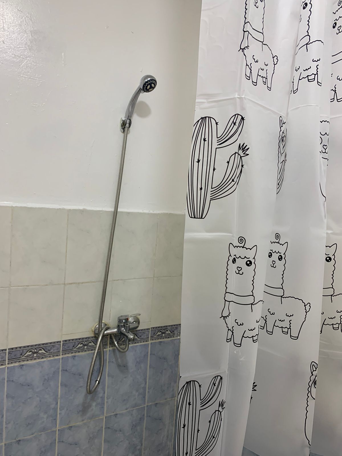 Douche, serviettes fournies, savon, shampoing