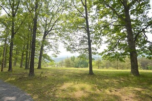Cabaña, varias camas (Black Bear Cabin - The Mountain Retre) | Alberca