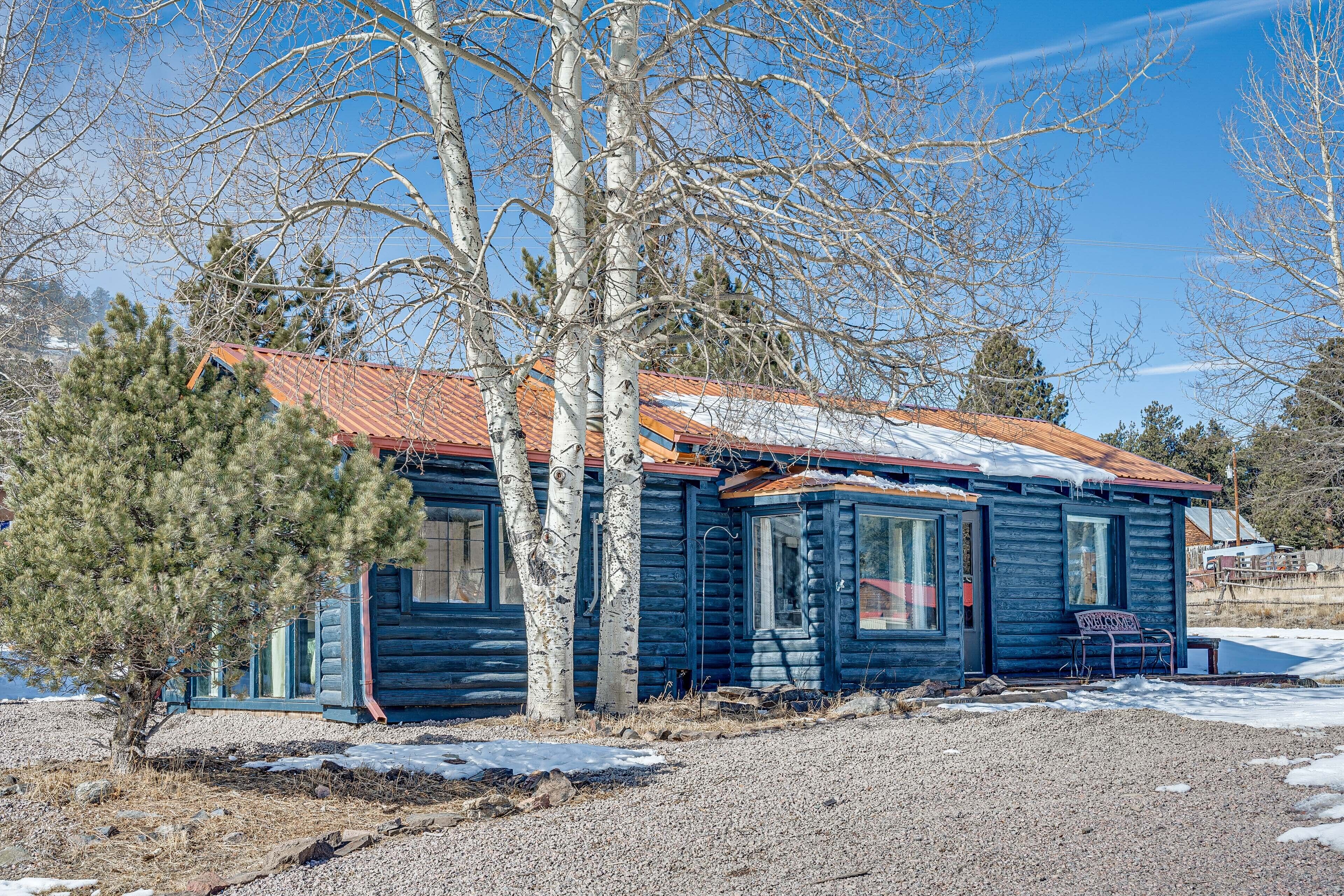 Une cabane rustique avec un toit en métal, entourée d’arbres sans feuilles et d’un sol recouvert de gravier.