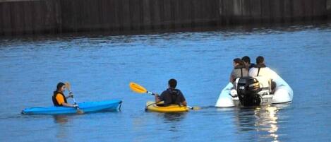 Three kayaks on calm water, a blue kayak on the left, a yellow kayak in the middle, and a white inflatable kayak on the right.