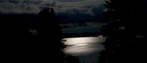 A night scene with a full moon, trees, and a body of water.