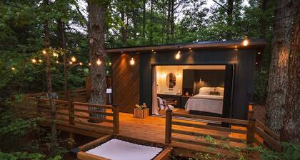 Eagles Nest Summary: