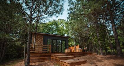 Whispering Pines Summ