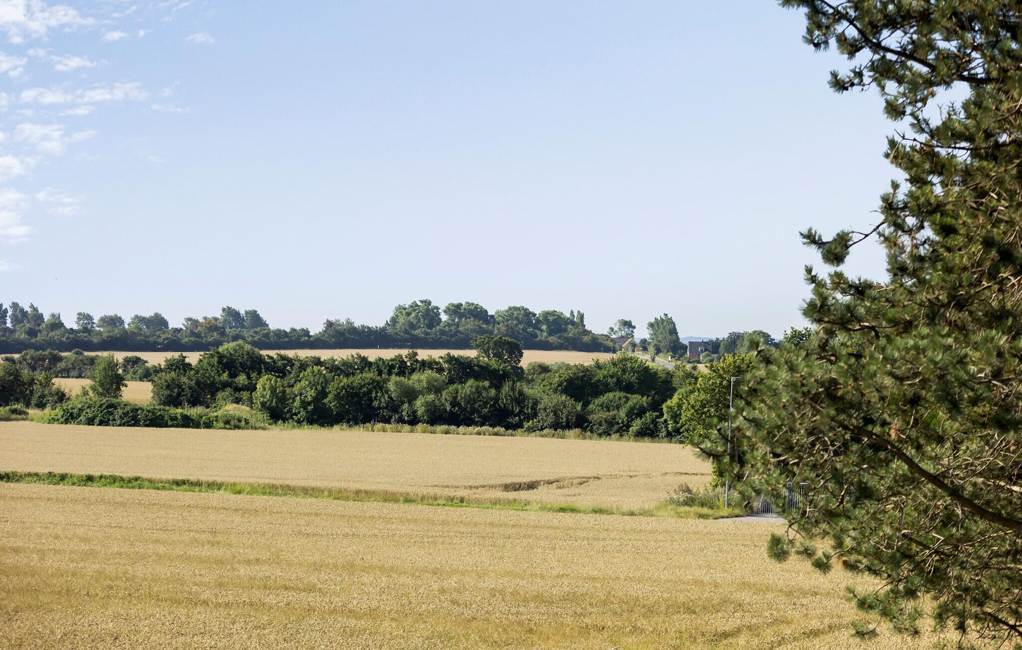 Ländliche Landschaft mit Feldern, Bäumen und einem Gebäude in der Ferne.