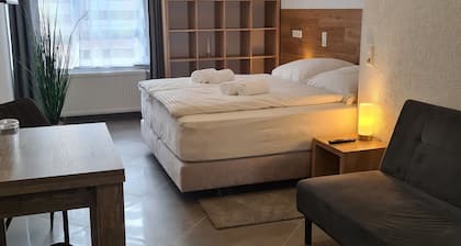 WellandHome - 6 rooms