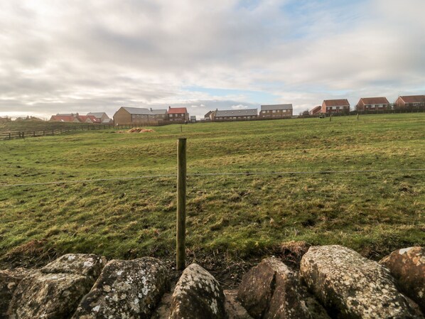 Property grounds - 22 Longstone Park (Chathill)