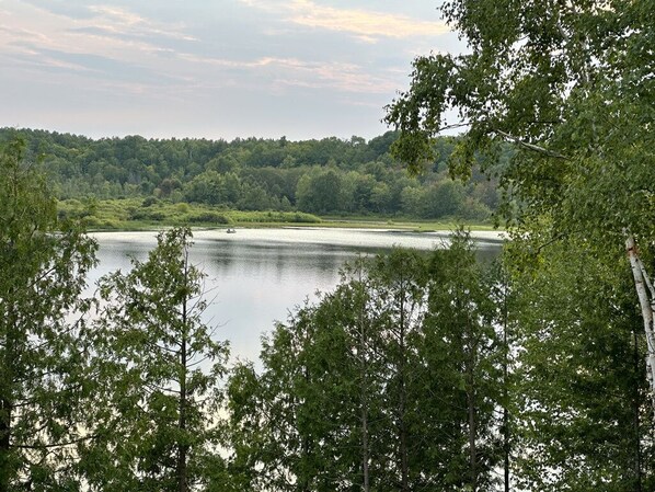 A lake surrounded by dense forest.