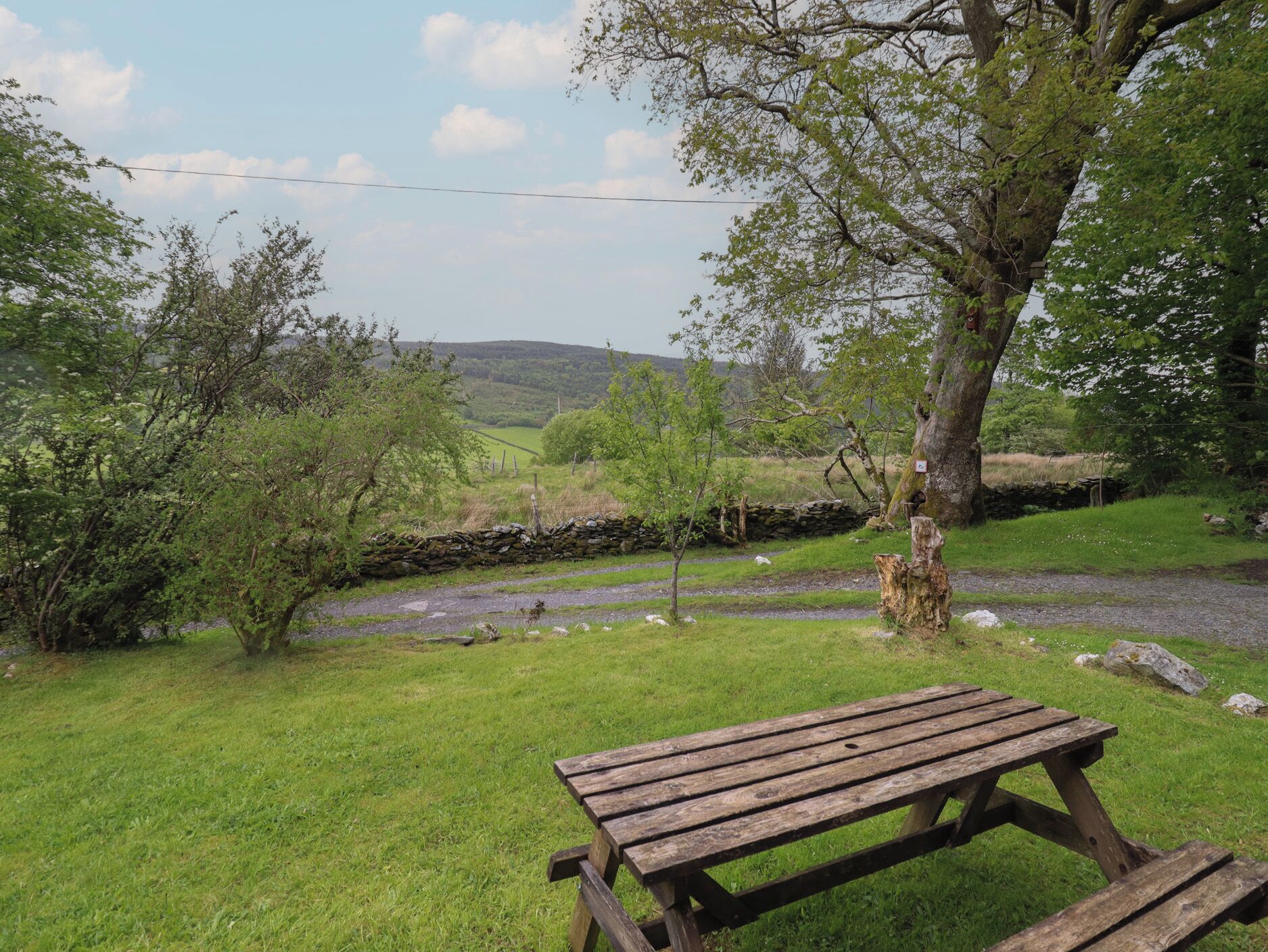 Una mesa de picnic en un área verde con un muro de piedra y árboles al fondo.