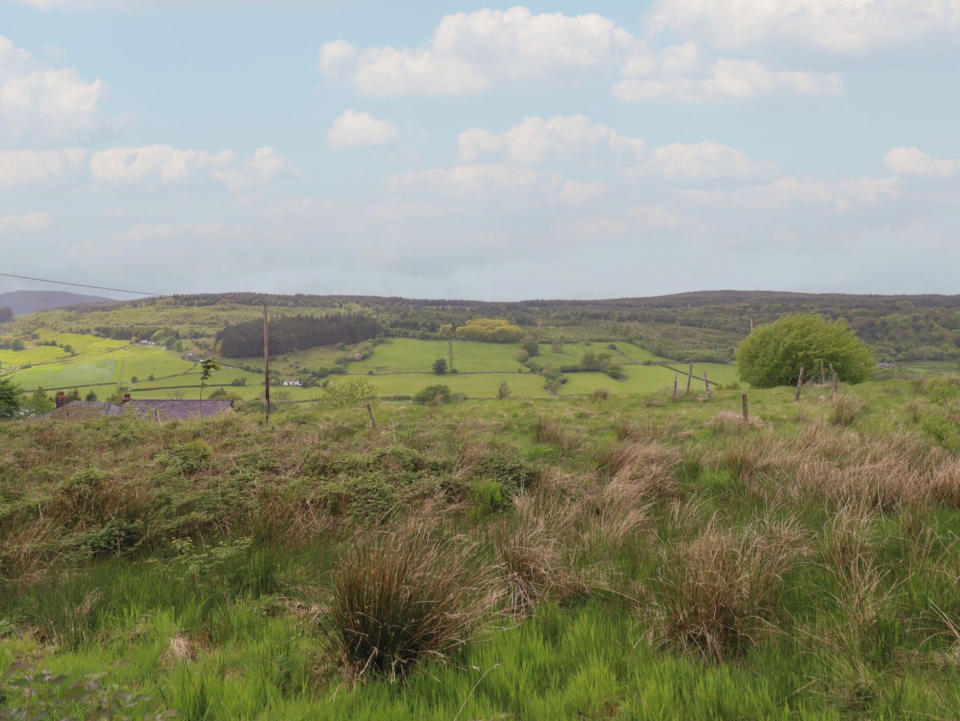 A rural landscape with rolling hills, green fields, and scattered trees.