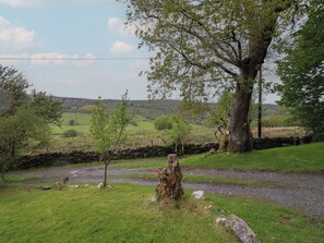 A rural landscape with a stone wall, a tree stump, and a grassy field.
