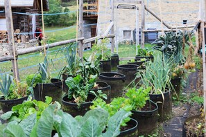 Terrain de l’hébergement 