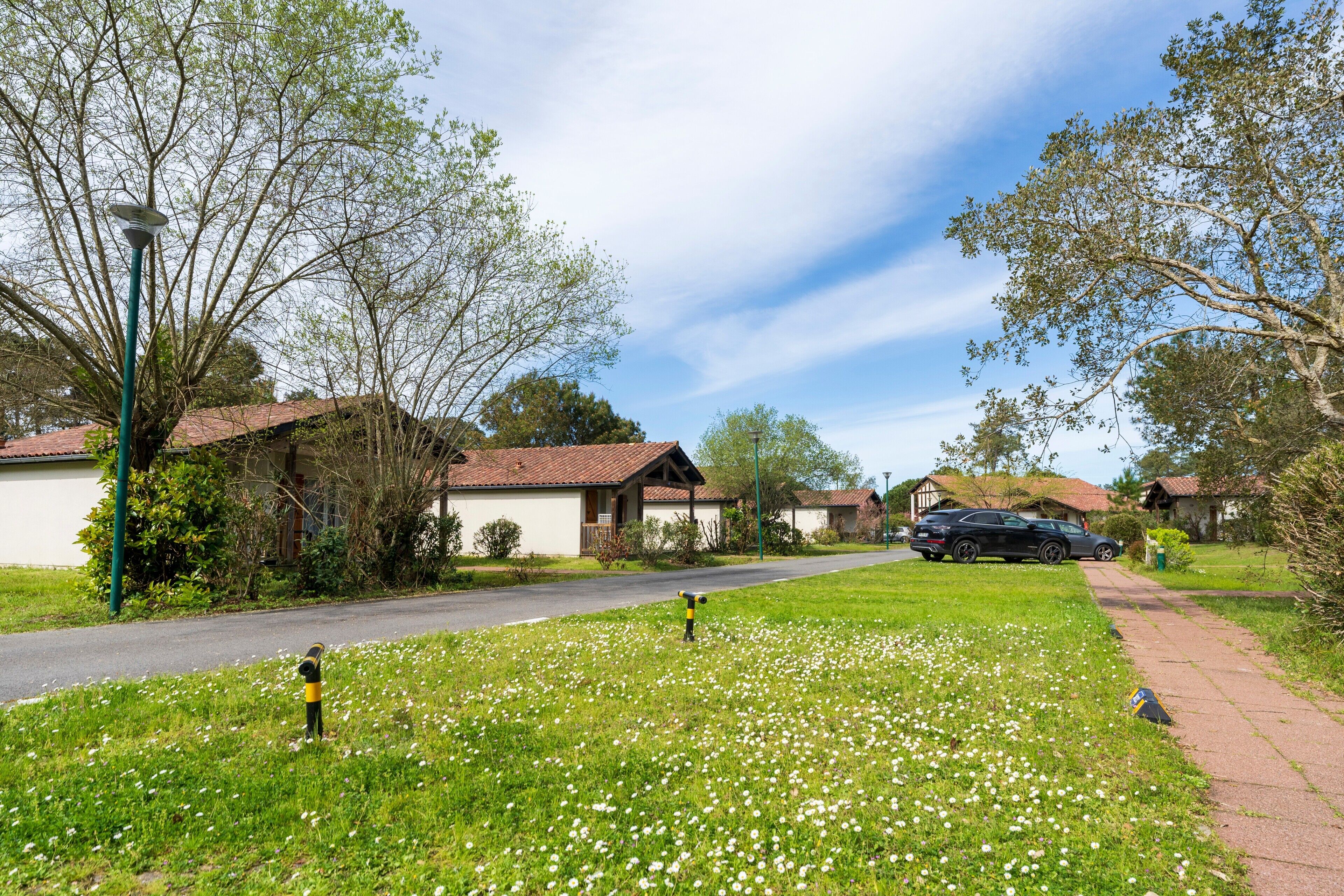 A residential street with houses, a clear sky, and a grassy area with flowers.
