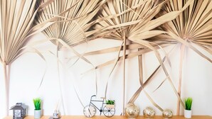 A room with a wooden table, a bicycle, and decorative plants. - Holiday Home 'Cosy Pavillon 2chambres Proche Mer' with Shared Pool, Private Terrace and Wi-Fi (Ondres)