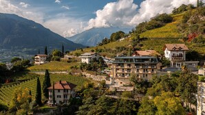 Ein Dorf an einem Hang mit Wohnhäusern, Weinbergen und Bergen im Hintergrund.