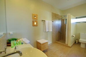 Shower, hair dryer, towels