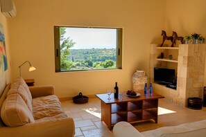 TV, fireplace, DVD player, stereo