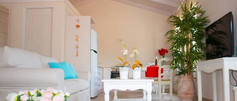 Televisión, reproductor de DVD y estéreo