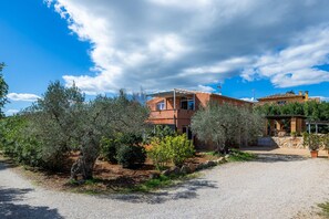 Exterior - Country House 'Ses Oliveres En Port Verd' with Private Pool, Wi-Fi and Air Conditioning (Son Servera)