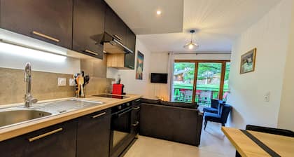 Superbe appartement au pied des pistes