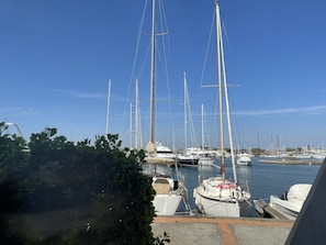 Un puerto deportivo con varios veleros amarrados, rodeado de vegetación.