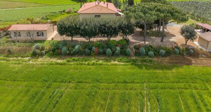 Bauernhof 'Agriturismo I Debbi - Il Ciliegio' mit privater Veranda, WLAN und Klimaanlage
