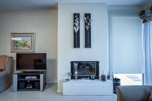TV, fireplace, DVD player