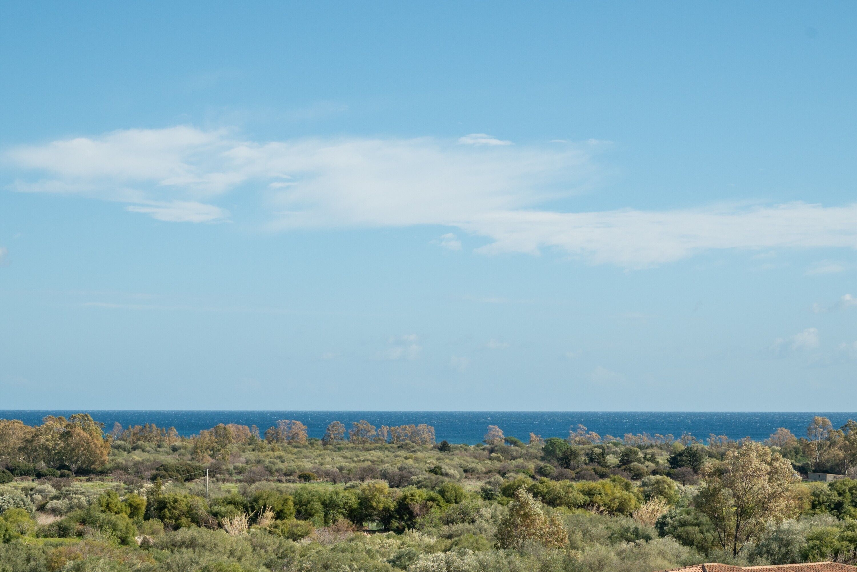 Un paysage côtier caractérisé par une végétation luxuriante et un ciel dégagé.