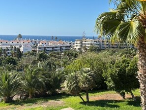 Property grounds - Vacation Apartment 'Vista Roja' with Sea View, Wi-Fi and Air Conditioning (San Agustin)