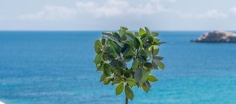 Ferienhaus 'Psili Ammos' mit privater Terrasse, Balkon und Klimaanlage