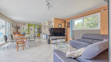 TV, videogames, DVD player, mesa de pingue-pongue