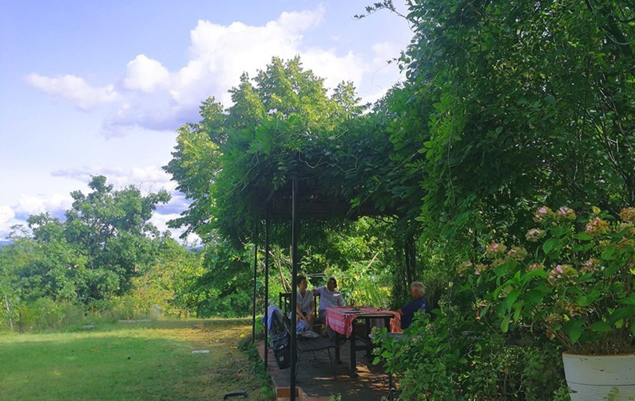 A covered outdoor seating area with tables and chairs, surrounded by lush greenery and trees.